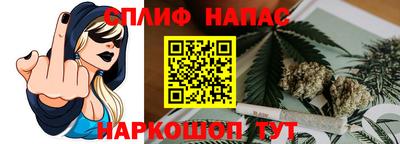 дурь Бердск